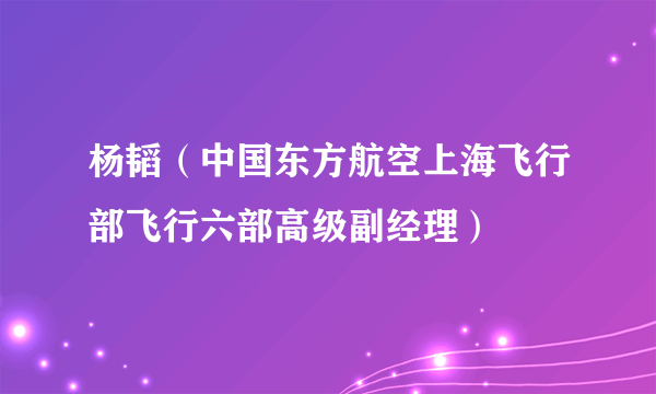 杨韬（中国东方航空上海飞行部飞行六部高级副经理）