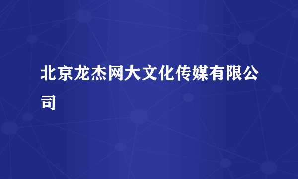 北京龙杰网大文化传媒有限公司