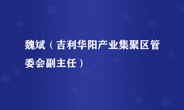 魏斌（吉利华阳产业集聚区管委会副主任）