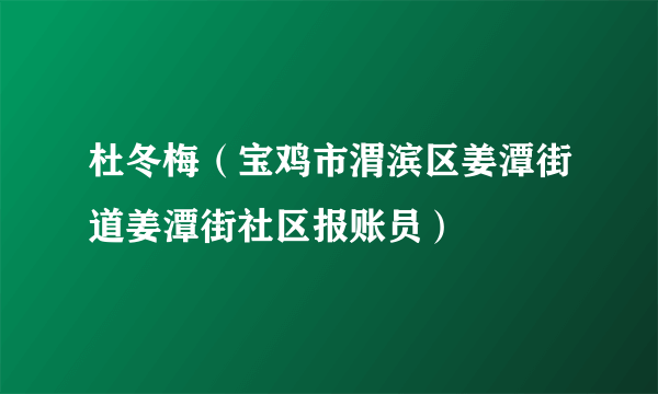 杜冬梅（宝鸡市渭滨区姜潭街道姜潭街社区报账员）