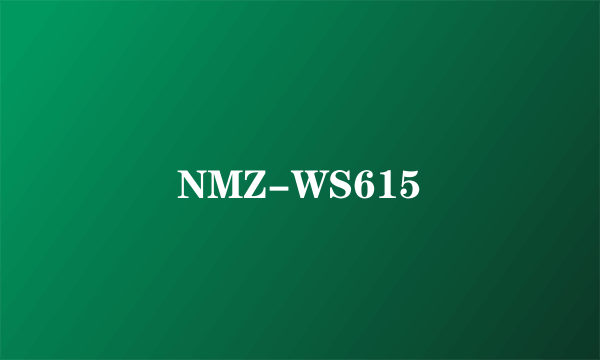 NMZ-WS615