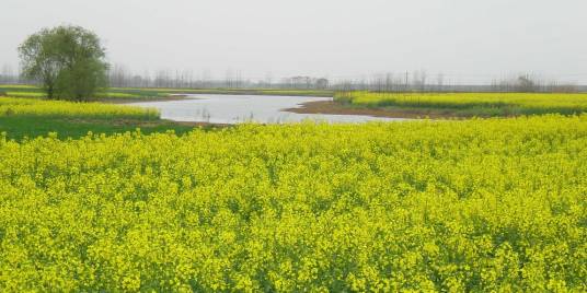 江巷水库