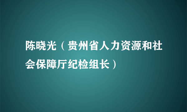 陈晓光（贵州省人力资源和社会保障厅纪检组长）