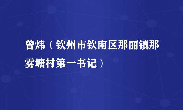 曾炜（钦州市钦南区那丽镇那雾塘村第一书记）