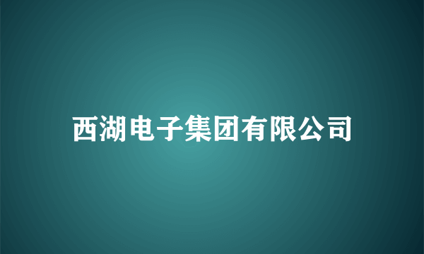 西湖电子集团有限公司