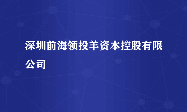 深圳前海领投羊资本控股有限公司