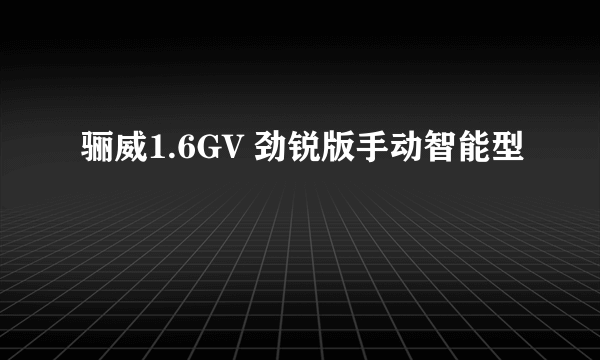 骊威1.6GV 劲锐版手动智能型