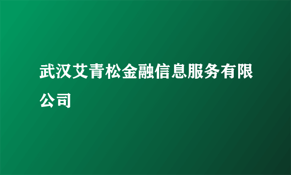 武汉艾青松金融信息服务有限公司