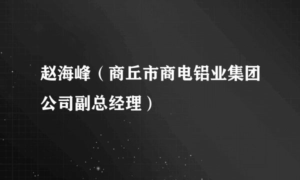 赵海峰（商丘市商电铝业集团公司副总经理）