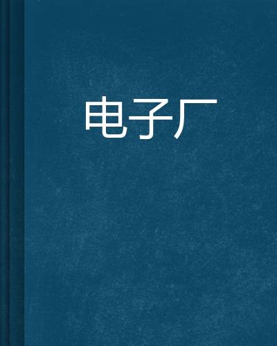 电子厂（一朵风云创作的网络小说）