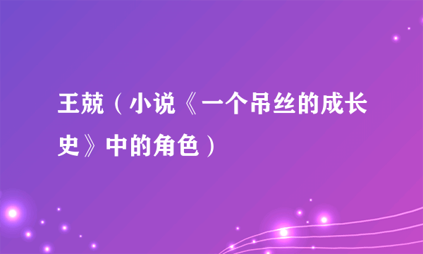 王兢（小说《一个吊丝的成长史》中的角色）