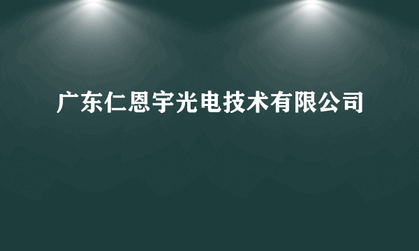 广东仁恩宇光电技术有限公司