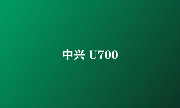 中兴 U700