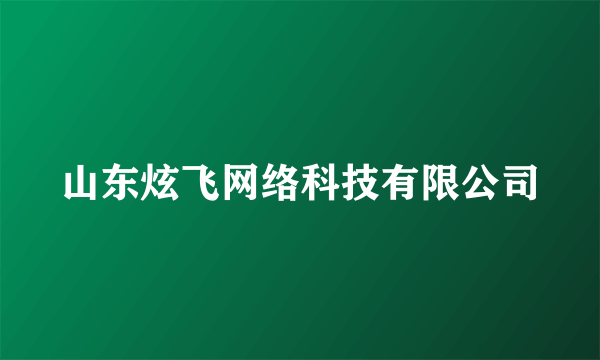 山东炫飞网络科技有限公司