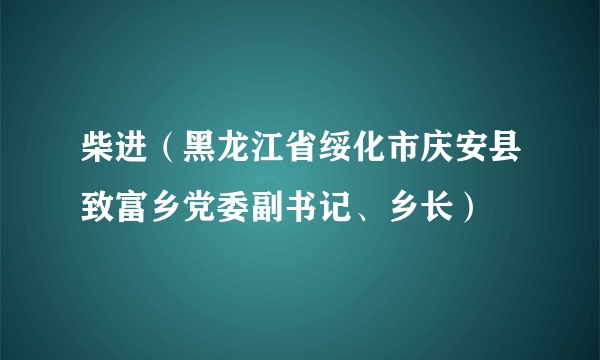 柴进（黑龙江省绥化市庆安县致富乡党委副书记、乡长）