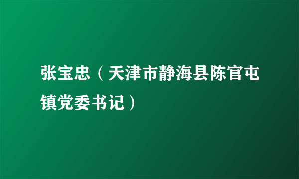 张宝忠（天津市静海县陈官屯镇党委书记）