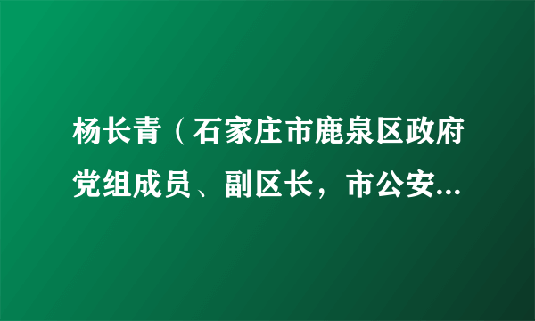 杨长青（石家庄市鹿泉区政府党组成员、副区长，市公安局鹿泉分局党委书记、局长）