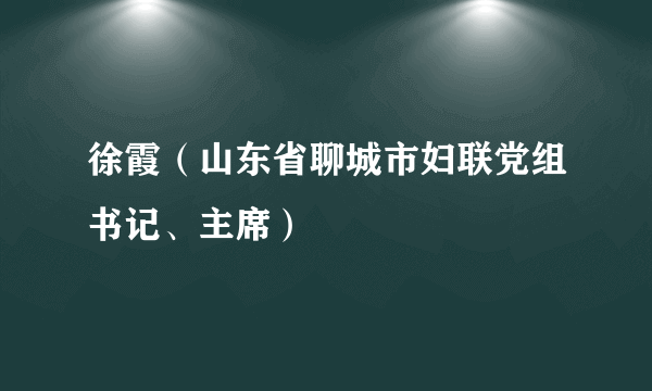 徐霞（山东省聊城市妇联党组书记、主席）