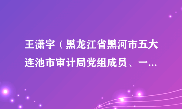 王潇宇（黑龙江省黑河市五大连池市审计局党组成员、一级主任科员）