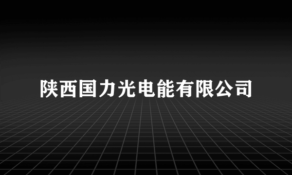 陕西国力光电能有限公司