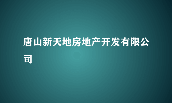 唐山新天地房地产开发有限公司