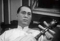 秋海棠（1955年吴回导演中国香港电影）