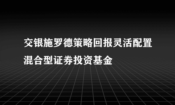 交银施罗德策略回报灵活配置混合型证券投资基金