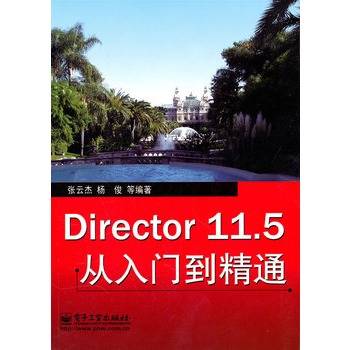 Director 11.5从入门到精通