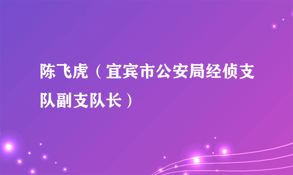 陈飞虎（宜宾市公安局经侦支队副支队长）