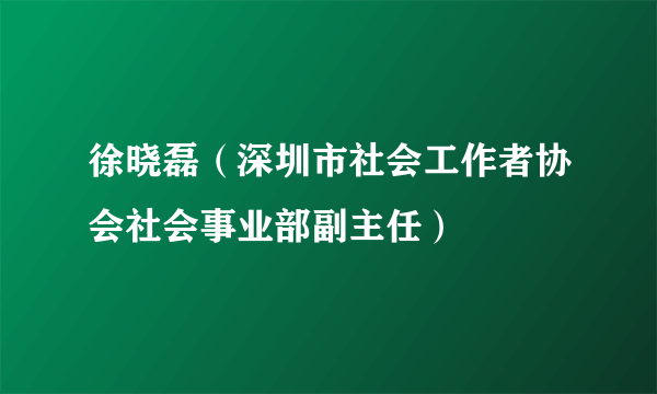 徐晓磊（深圳市社会工作者协会社会事业部副主任）