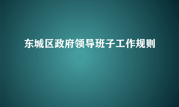 东城区政府领导班子工作规则