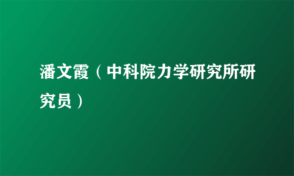 潘文霞（中科院力学研究所研究员）