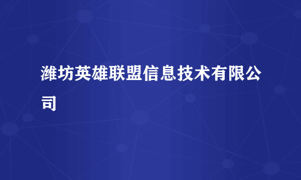 潍坊英雄联盟信息技术有限公司