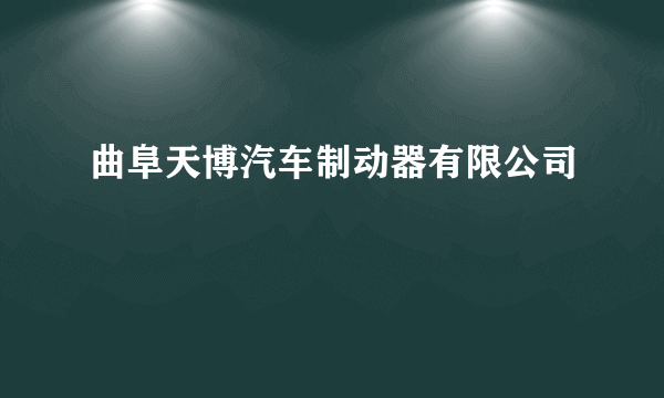 曲阜天博汽车制动器有限公司