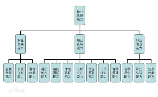 职业选择能力