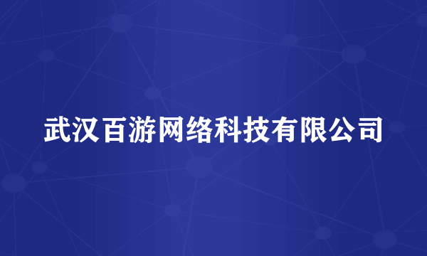 武汉百游网络科技有限公司