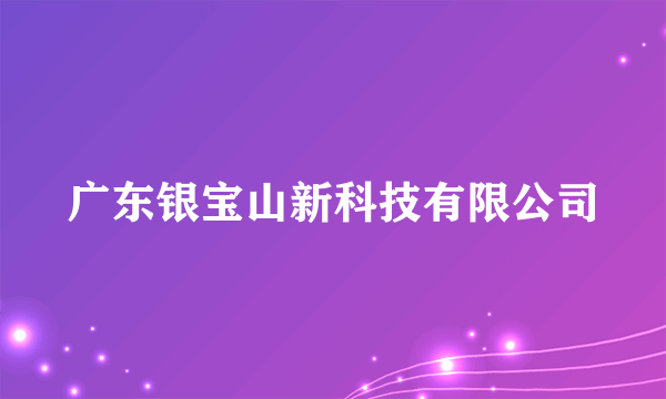 广东银宝山新科技有限公司