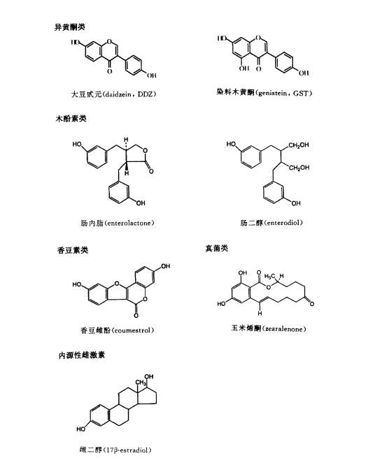 雌激素