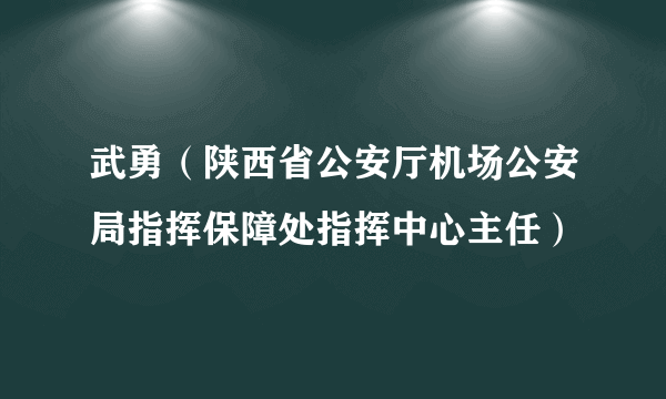 武勇（陕西省公安厅机场公安局指挥保障处指挥中心主任）