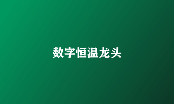 数字恒温龙头