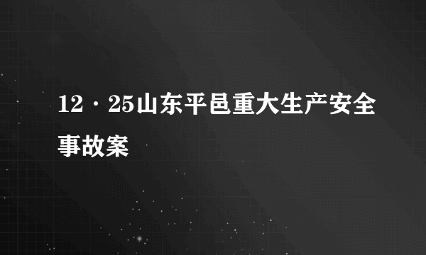 12·25山东平邑重大生产安全事故案