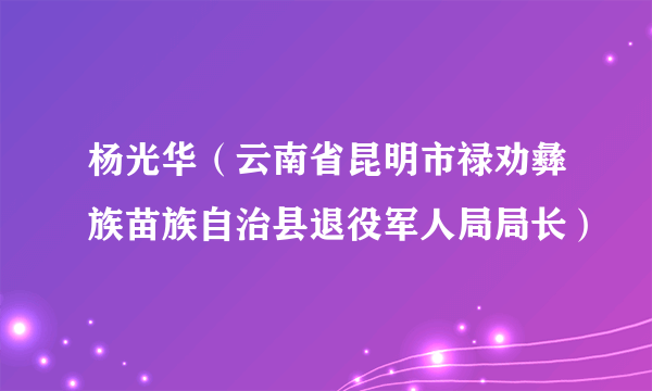 杨光华（云南省昆明市禄劝彝族苗族自治县退役军人局局长）