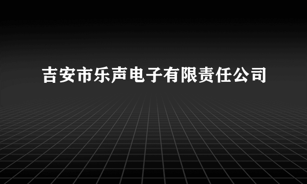 吉安市乐声电子有限责任公司