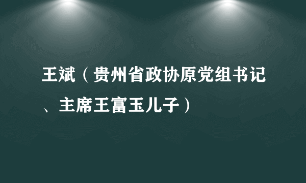 王斌（贵州省政协原党组书记、主席王富玉儿子）