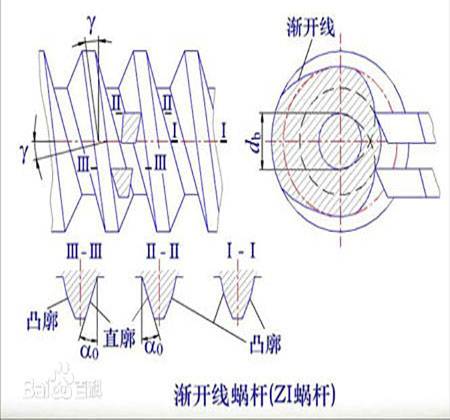 渐开线蜗杆