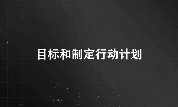 目标和制定行动计划