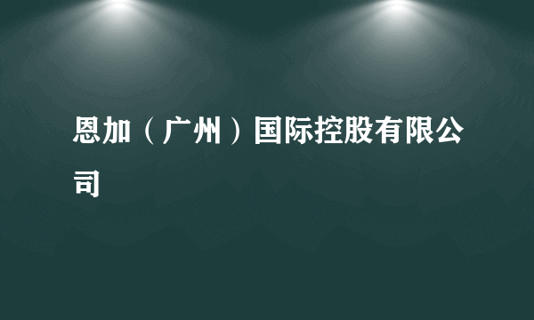 恩加（广州）国际控股有限公司