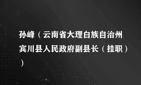 孙峰（云南省大理白族自治州宾川县人民政府副县长（挂职））