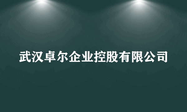 武汉卓尔企业控股有限公司