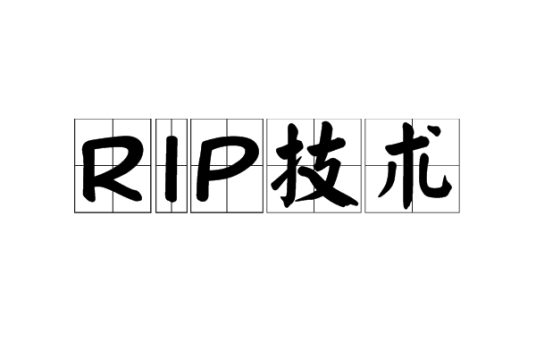 RIP技术